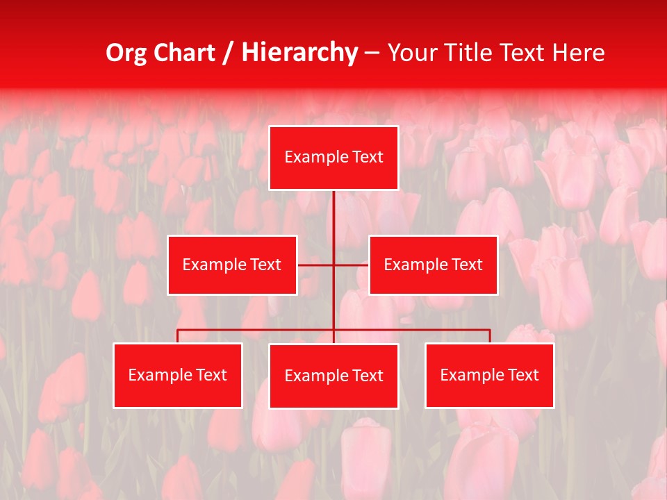 Fresh Orange Jumping Into Water With A Splash PowerPoint Template