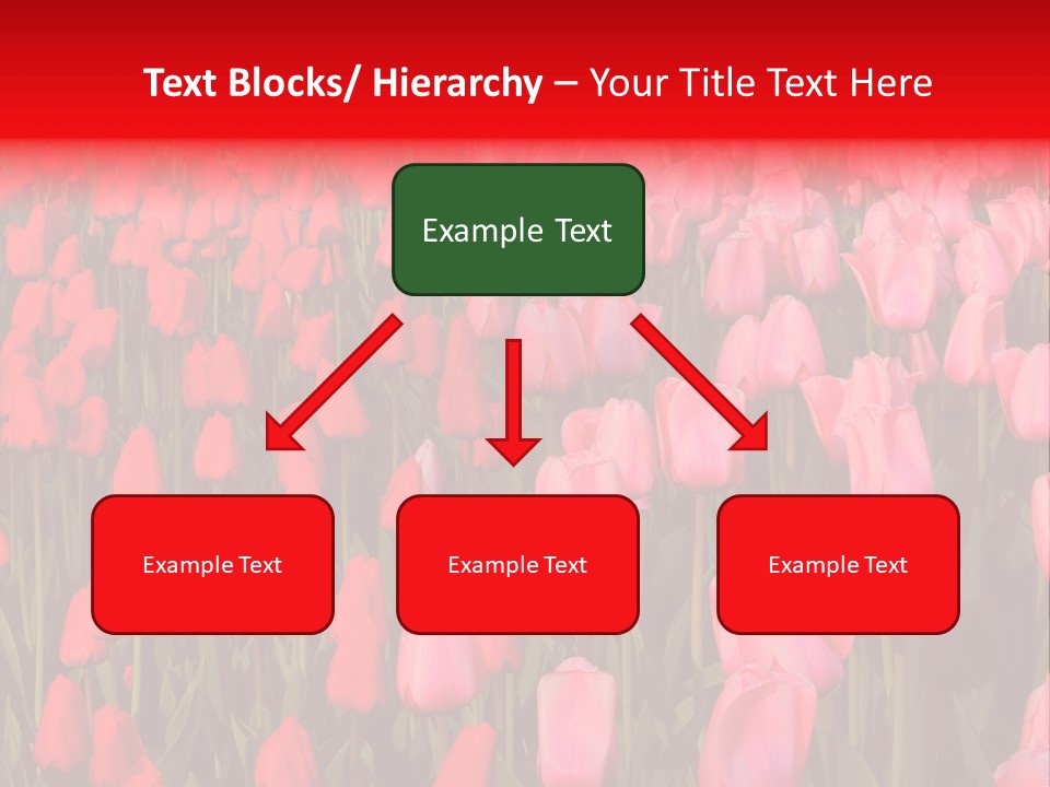 Fresh Orange Jumping Into Water With A Splash PowerPoint Template