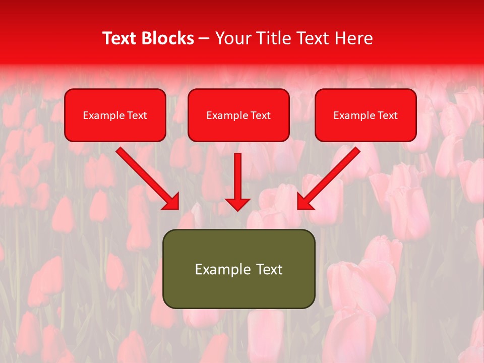 Fresh Orange Jumping Into Water With A Splash PowerPoint Template