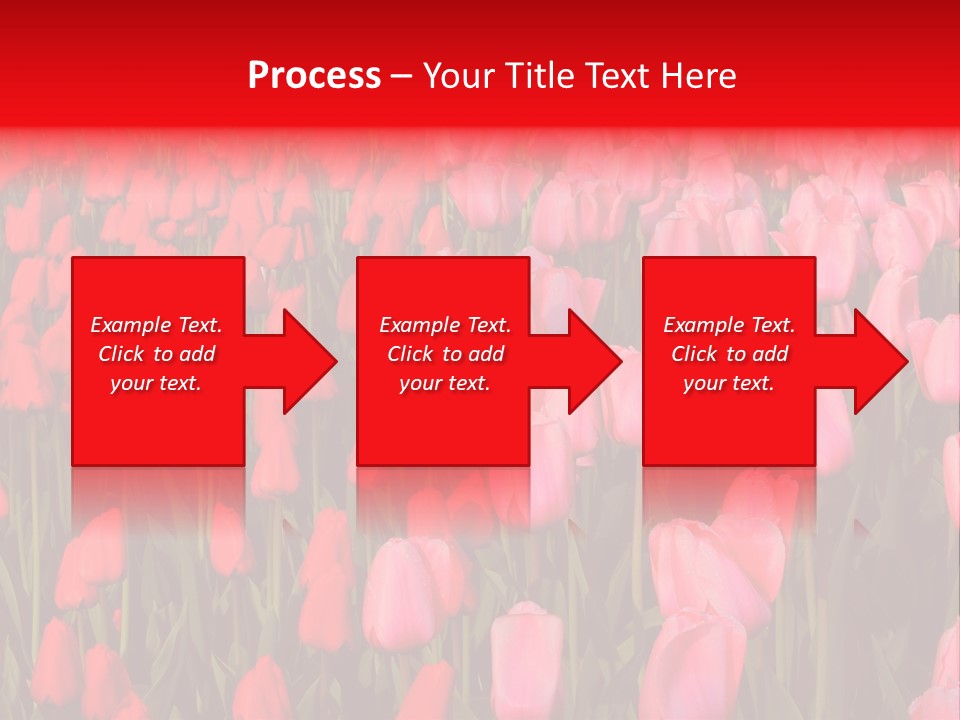 Fresh Orange Jumping Into Water With A Splash PowerPoint Template