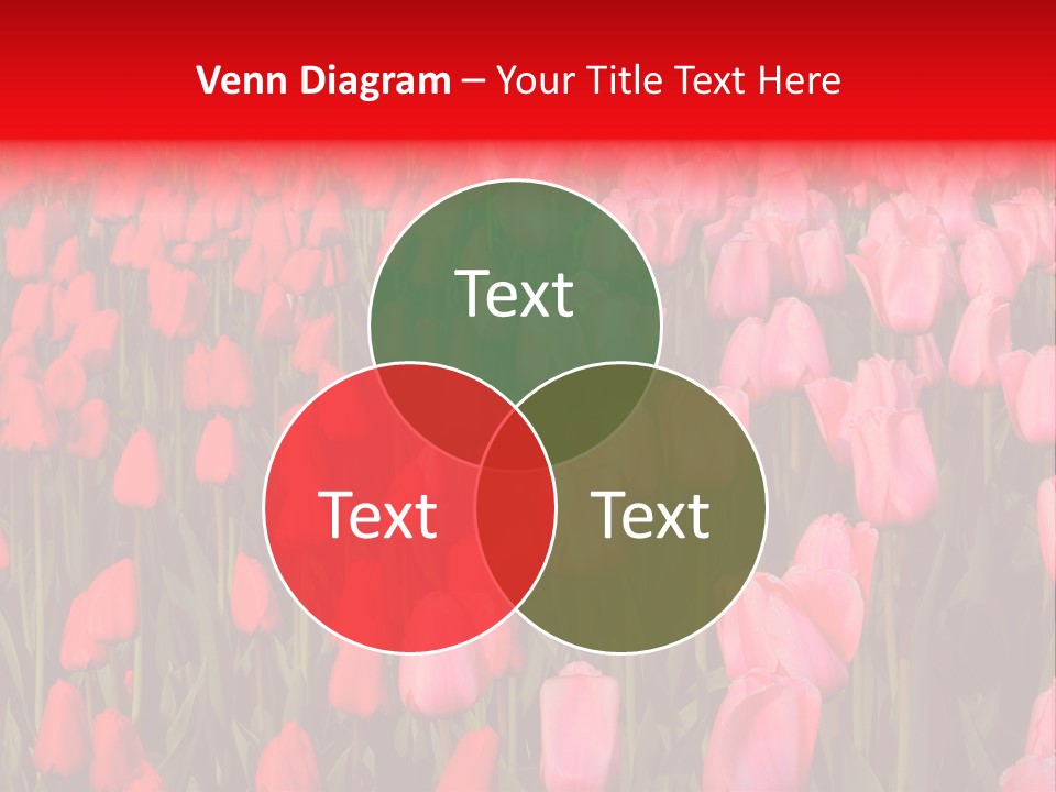 Fresh Orange Jumping Into Water With A Splash PowerPoint Template