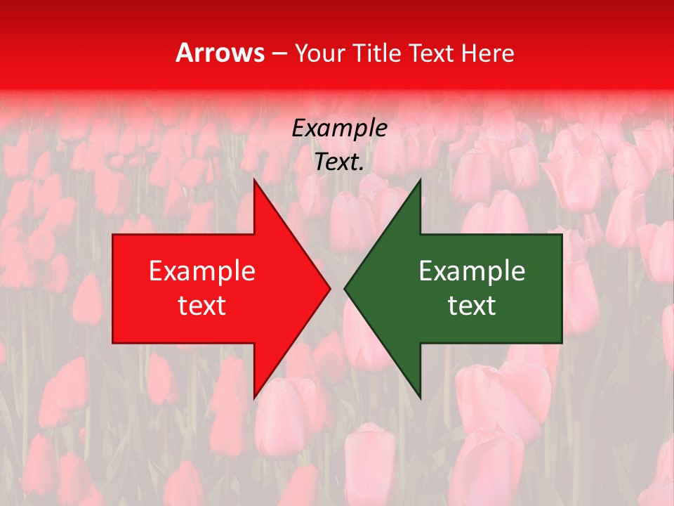 Fresh Orange Jumping Into Water With A Splash PowerPoint Template