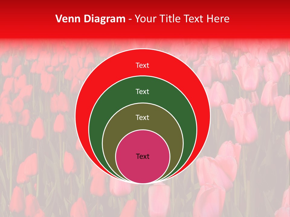 Fresh Orange Jumping Into Water With A Splash PowerPoint Template