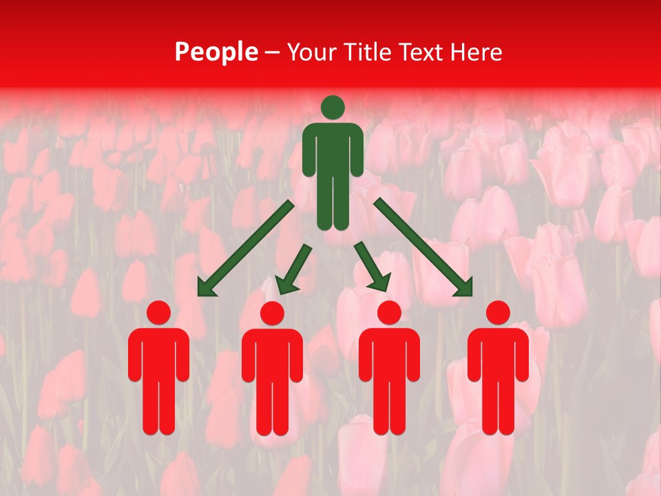 Fresh Orange Jumping Into Water With A Splash PowerPoint Template