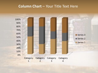 Bathroom Designer Detail PowerPoint Template