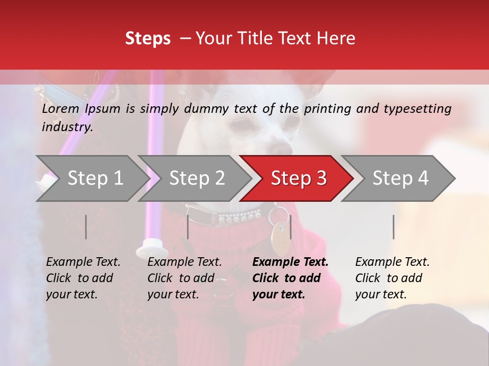 Chihuahua Wearing A Sweater Sitting On A Knitting Womans Lap PowerPoint Template