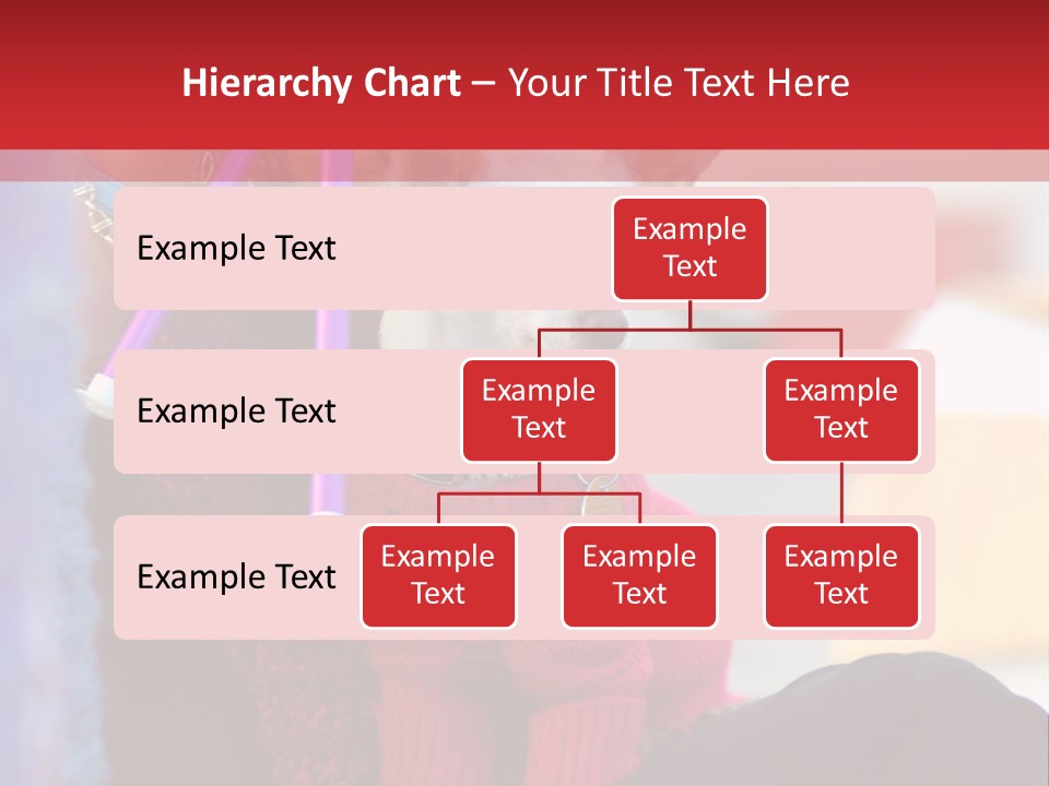 Chihuahua Wearing A Sweater Sitting On A Knitting Womans Lap PowerPoint Template