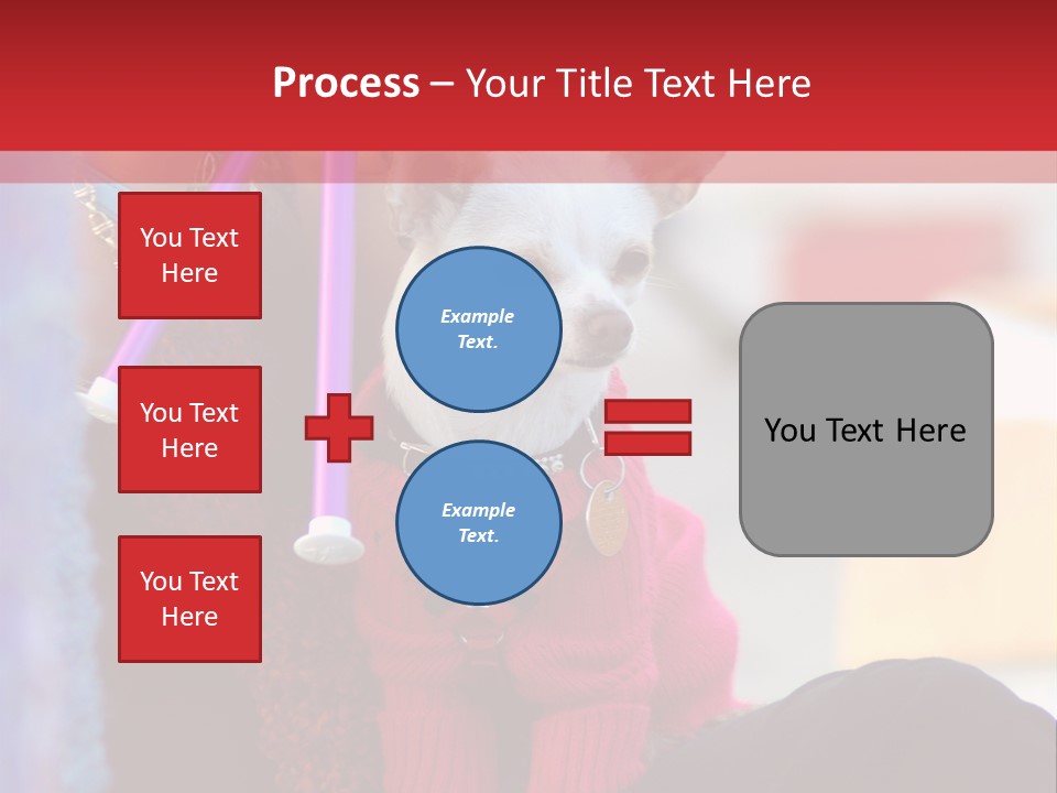 Chihuahua Wearing A Sweater Sitting On A Knitting Womans Lap PowerPoint Template