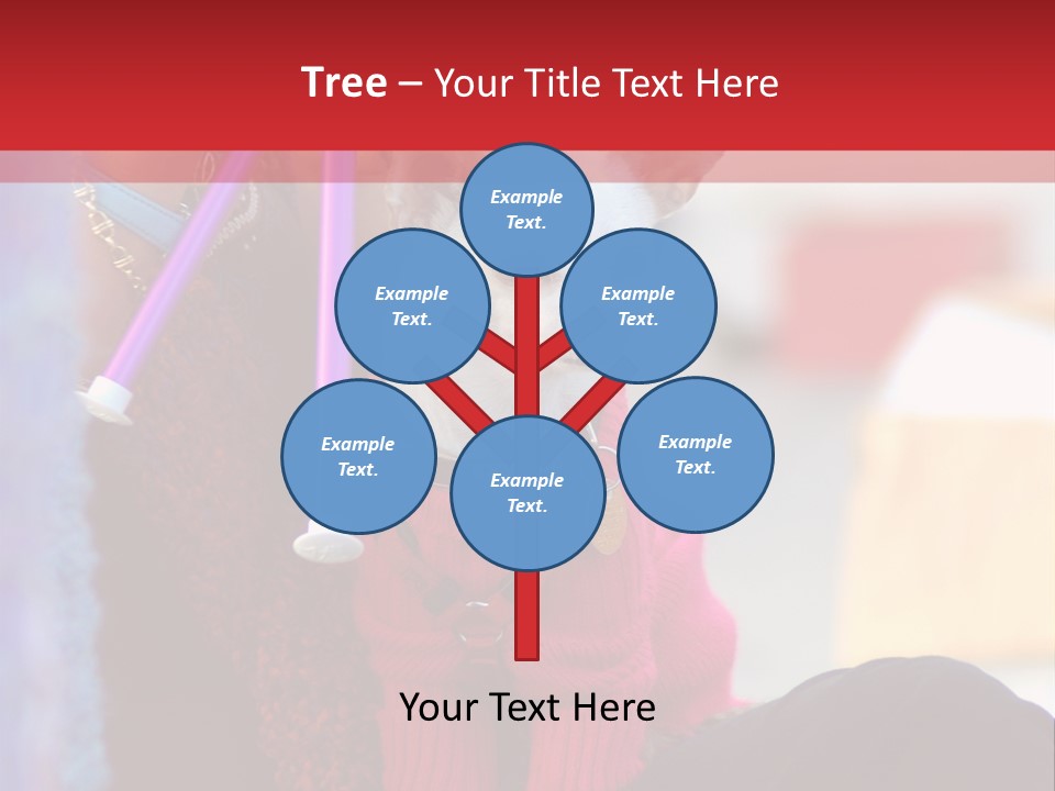 Chihuahua Wearing A Sweater Sitting On A Knitting Womans Lap PowerPoint Template