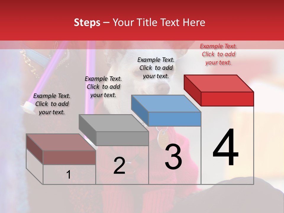 Chihuahua Wearing A Sweater Sitting On A Knitting Womans Lap PowerPoint Template