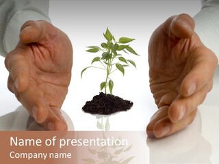 Business Men Holding A Plant Between Hands On White PowerPoint Template