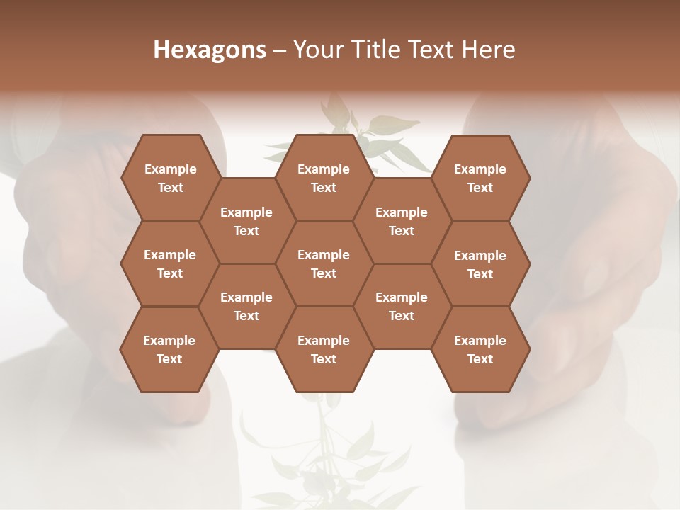 Business Men Holding A Plant Between Hands On White PowerPoint Template