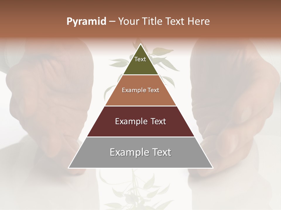 Business Men Holding A Plant Between Hands On White PowerPoint Template