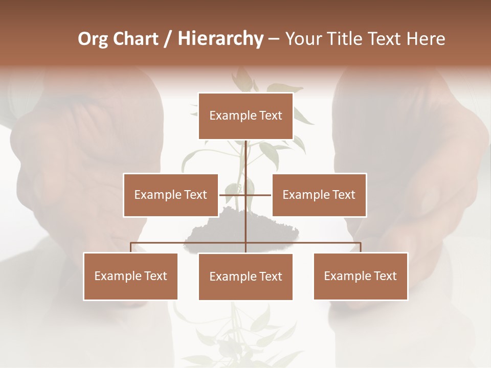 Business Men Holding A Plant Between Hands On White PowerPoint Template