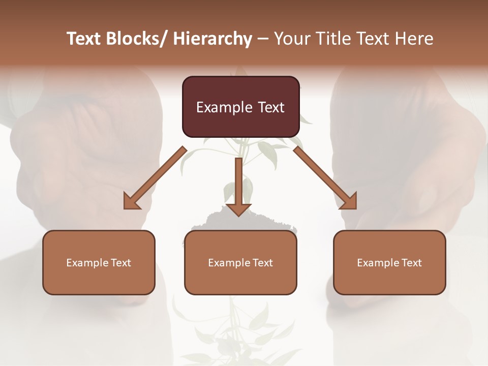 Business Men Holding A Plant Between Hands On White PowerPoint Template