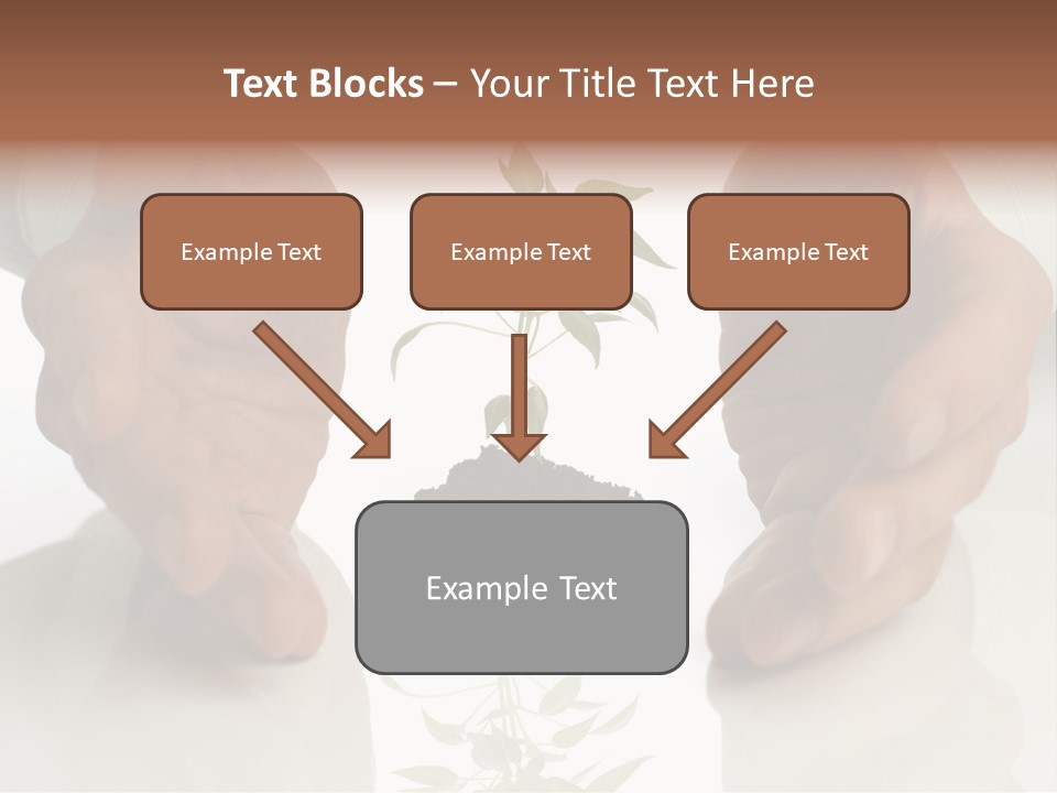 Business Men Holding A Plant Between Hands On White PowerPoint Template