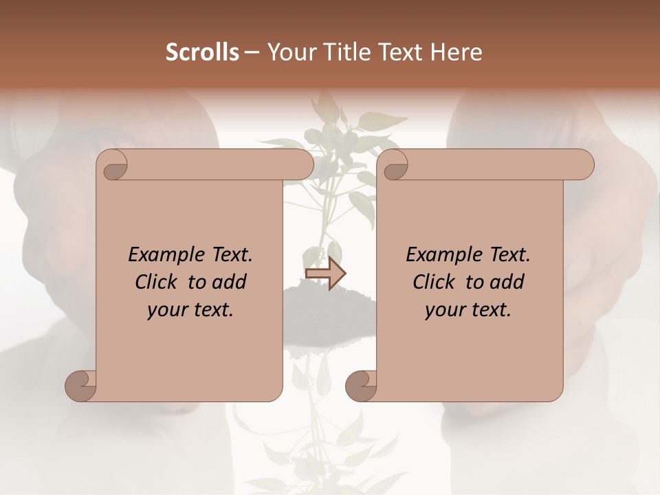 Business Men Holding A Plant Between Hands On White PowerPoint Template