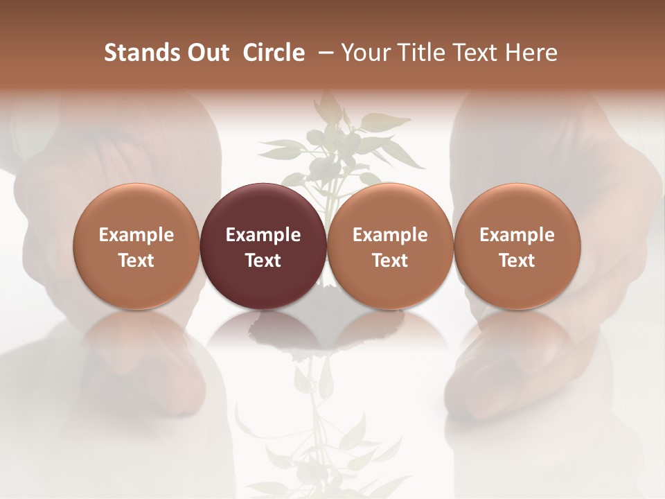 Business Men Holding A Plant Between Hands On White PowerPoint Template