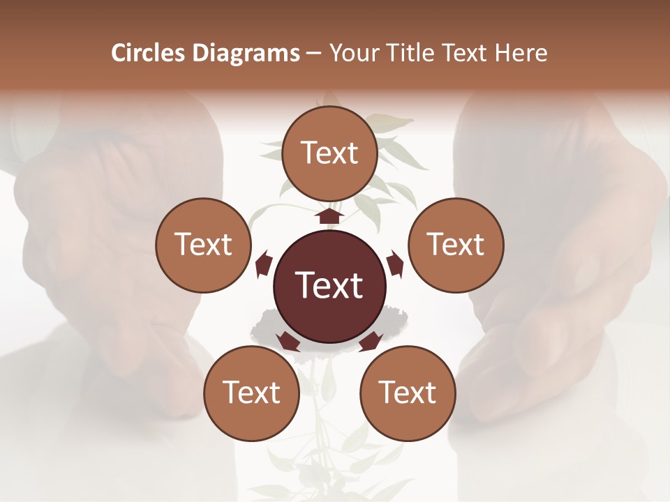 Business Men Holding A Plant Between Hands On White PowerPoint Template