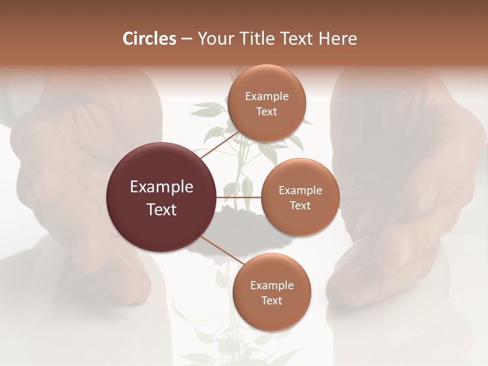 Business Men Holding A Plant Between Hands On White PowerPoint Template