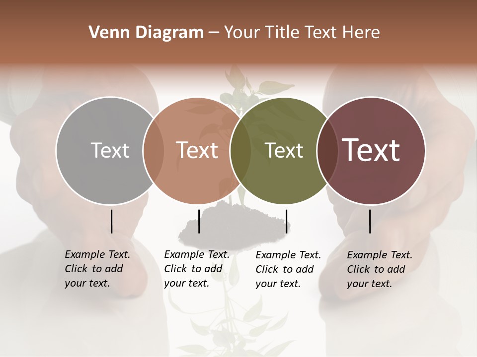 Business Men Holding A Plant Between Hands On White PowerPoint Template