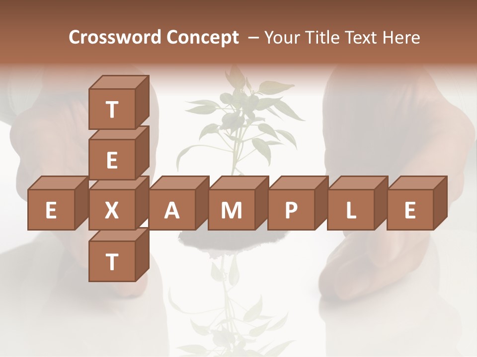 Business Men Holding A Plant Between Hands On White PowerPoint Template