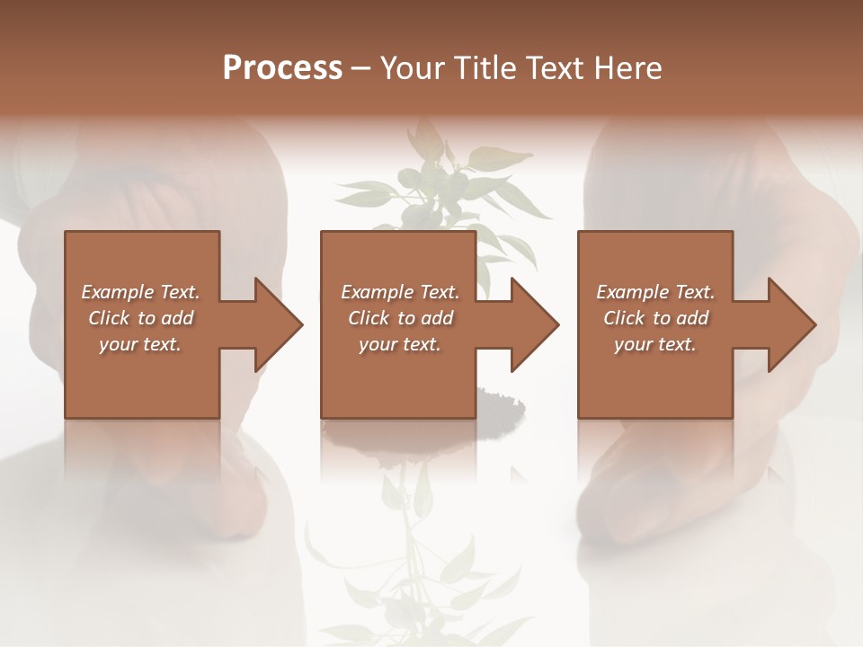 Business Men Holding A Plant Between Hands On White PowerPoint Template