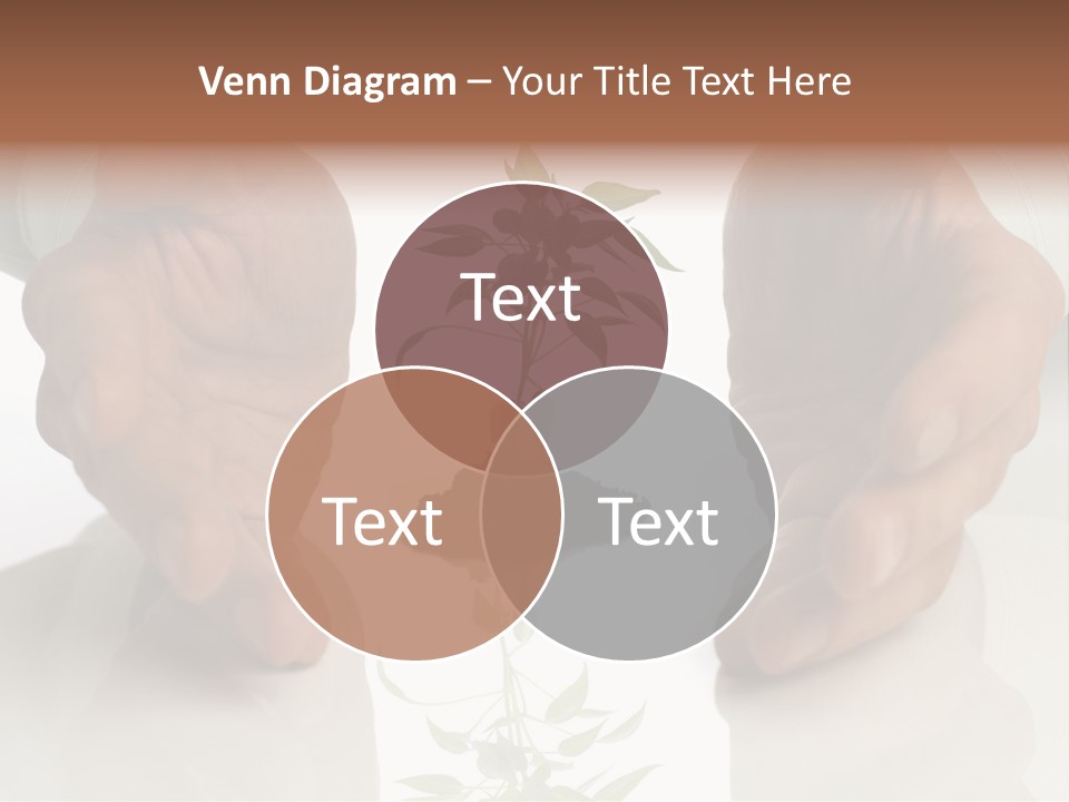 Business Men Holding A Plant Between Hands On White PowerPoint Template