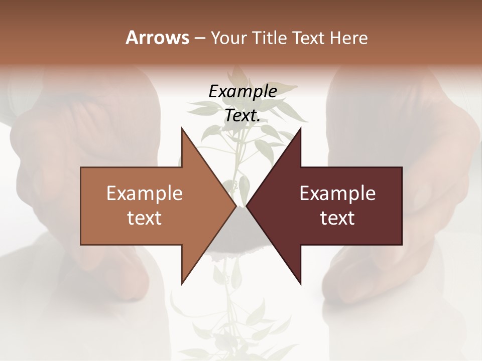 Business Men Holding A Plant Between Hands On White PowerPoint Template