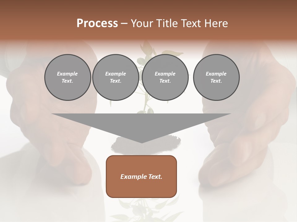 Business Men Holding A Plant Between Hands On White PowerPoint Template