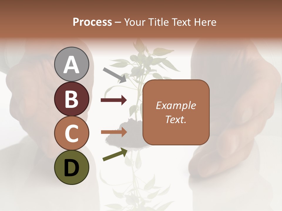 Business Men Holding A Plant Between Hands On White PowerPoint Template