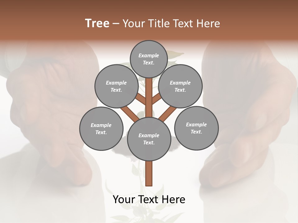 Business Men Holding A Plant Between Hands On White PowerPoint Template