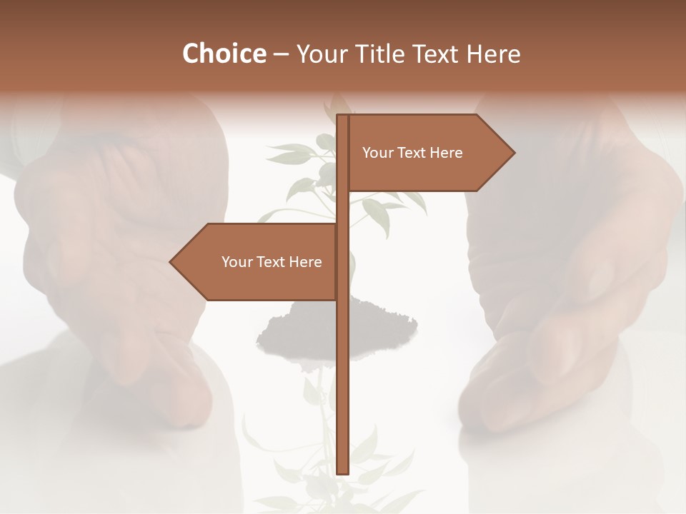 Business Men Holding A Plant Between Hands On White PowerPoint Template