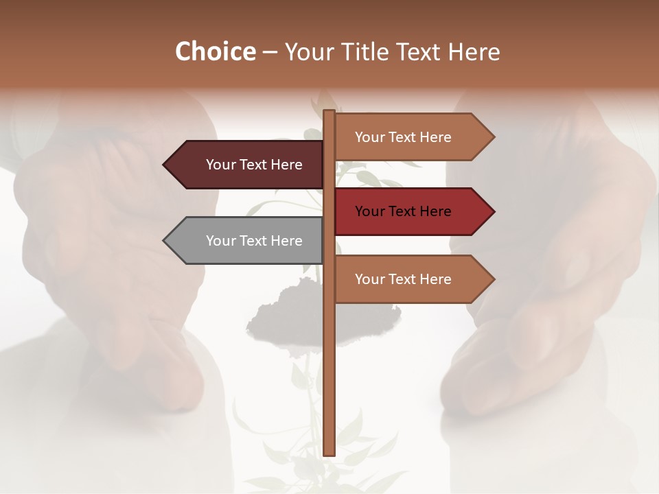 Business Men Holding A Plant Between Hands On White PowerPoint Template