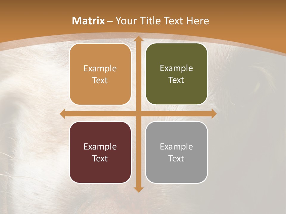 Smiling Dog, Gold Retriever Head Shot PowerPoint Template