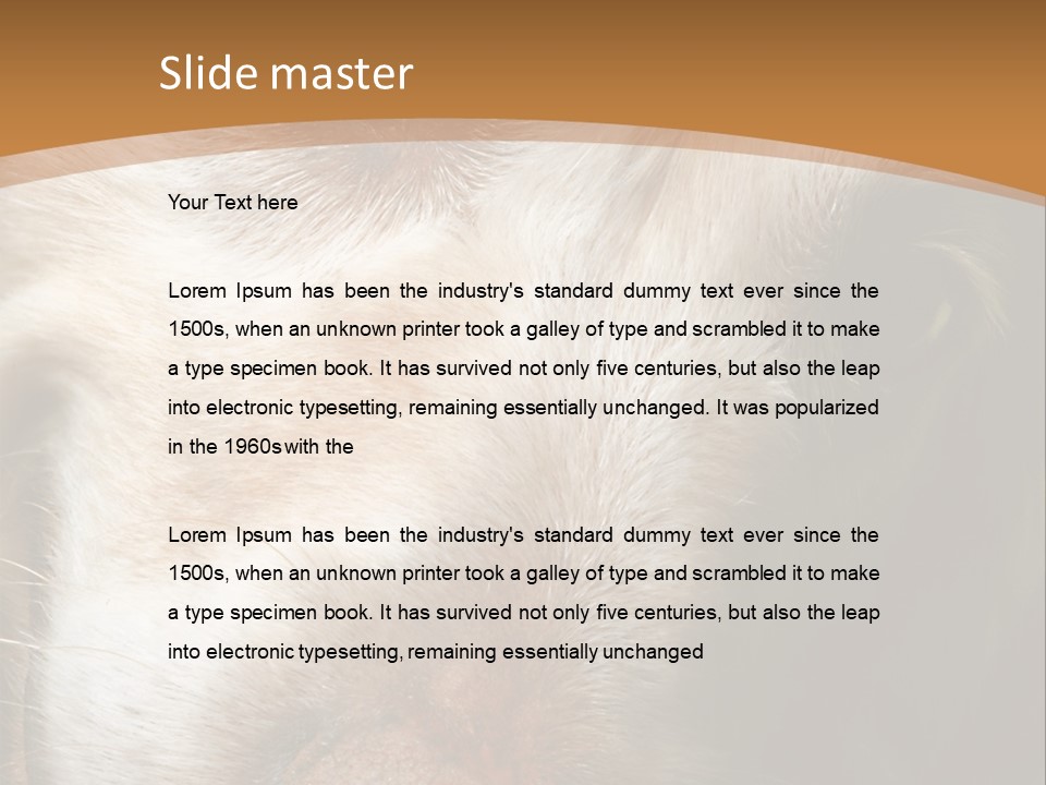 Smiling Dog, Gold Retriever Head Shot PowerPoint Template