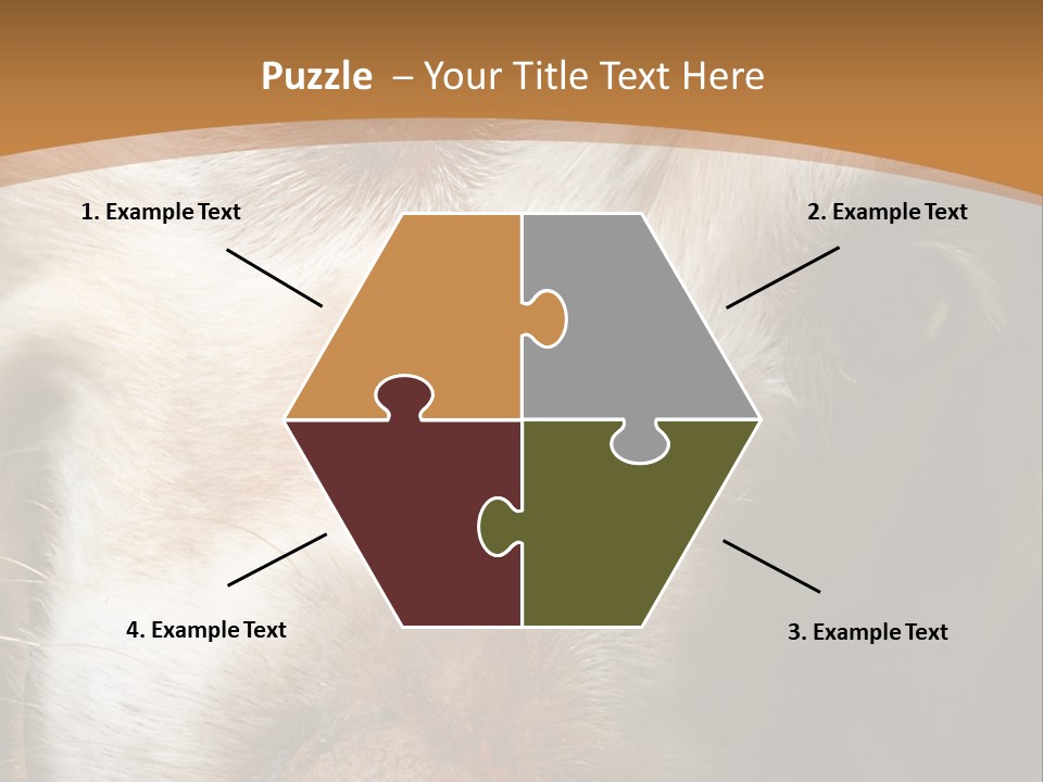 Smiling Dog, Gold Retriever Head Shot PowerPoint Template