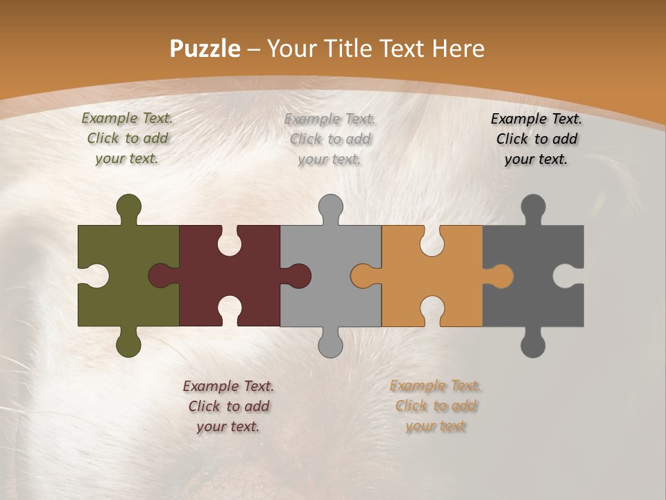 Smiling Dog, Gold Retriever Head Shot PowerPoint Template