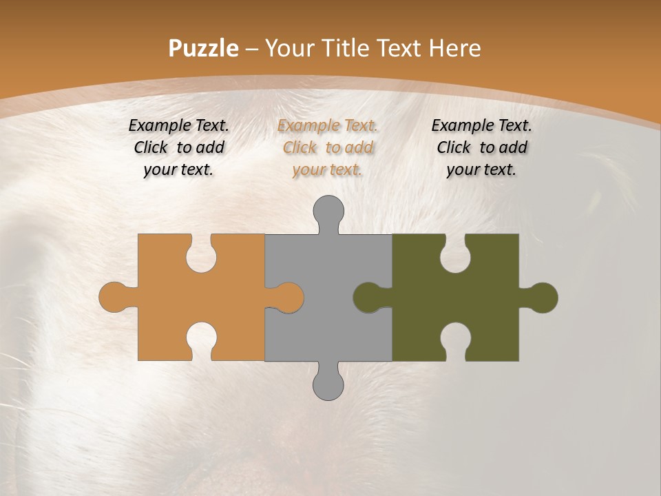 Smiling Dog, Gold Retriever Head Shot PowerPoint Template