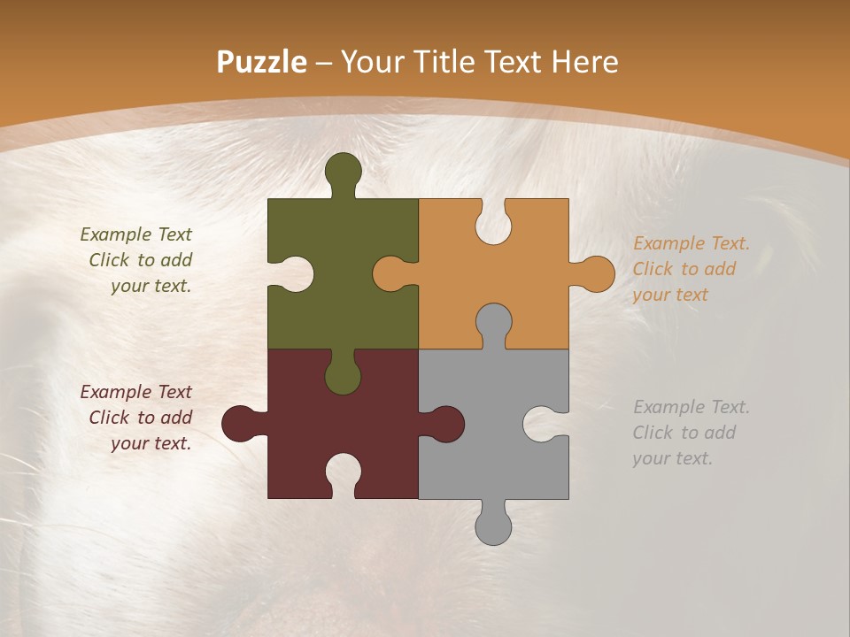 Smiling Dog, Gold Retriever Head Shot PowerPoint Template