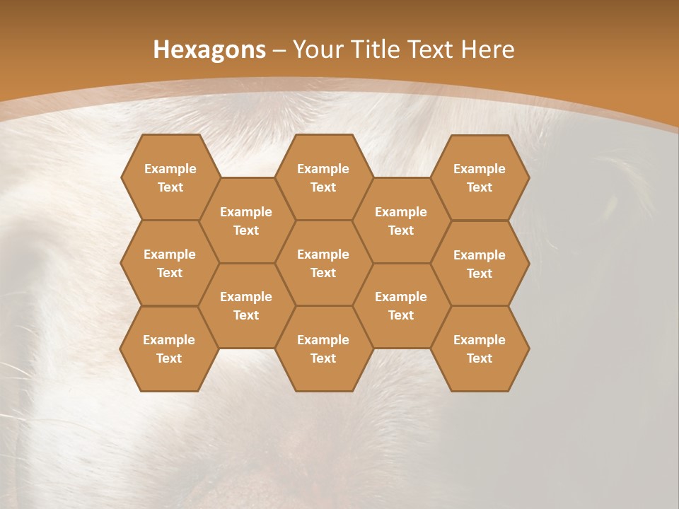 Smiling Dog, Gold Retriever Head Shot PowerPoint Template