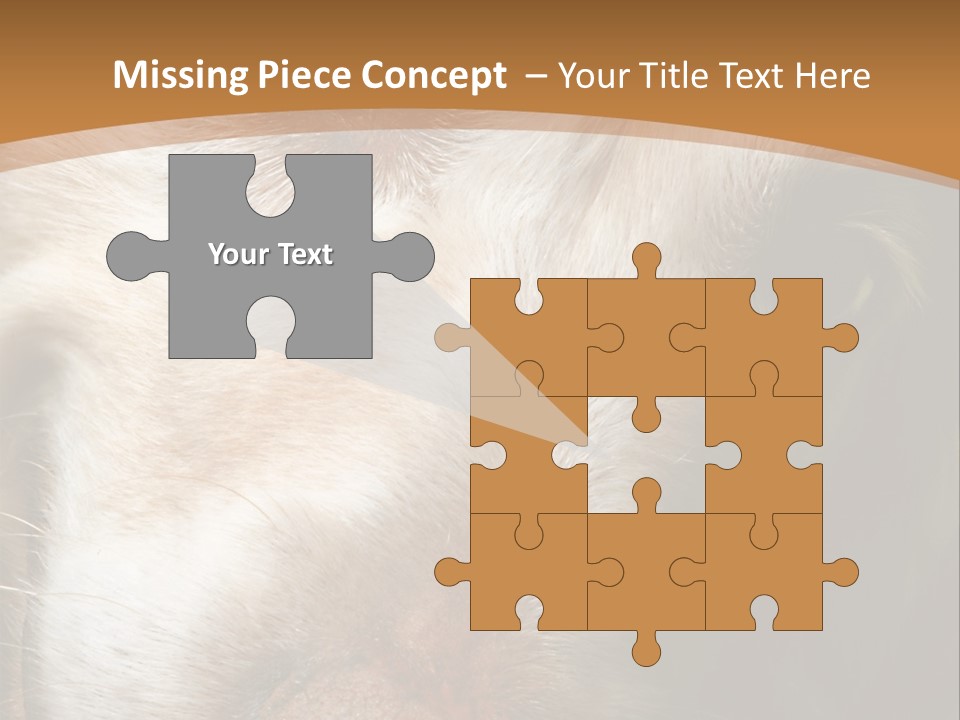 Smiling Dog, Gold Retriever Head Shot PowerPoint Template