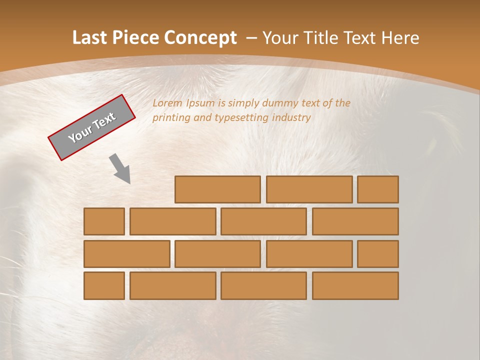 Smiling Dog, Gold Retriever Head Shot PowerPoint Template