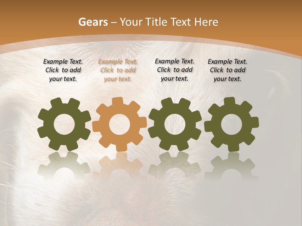 Smiling Dog, Gold Retriever Head Shot PowerPoint Template