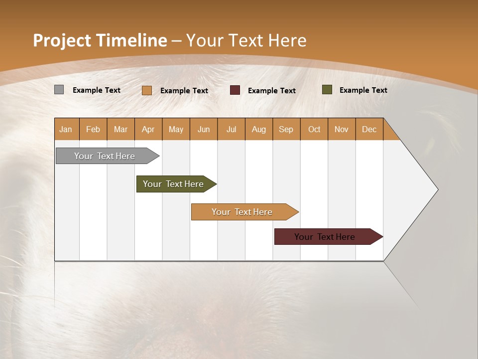 Smiling Dog, Gold Retriever Head Shot PowerPoint Template