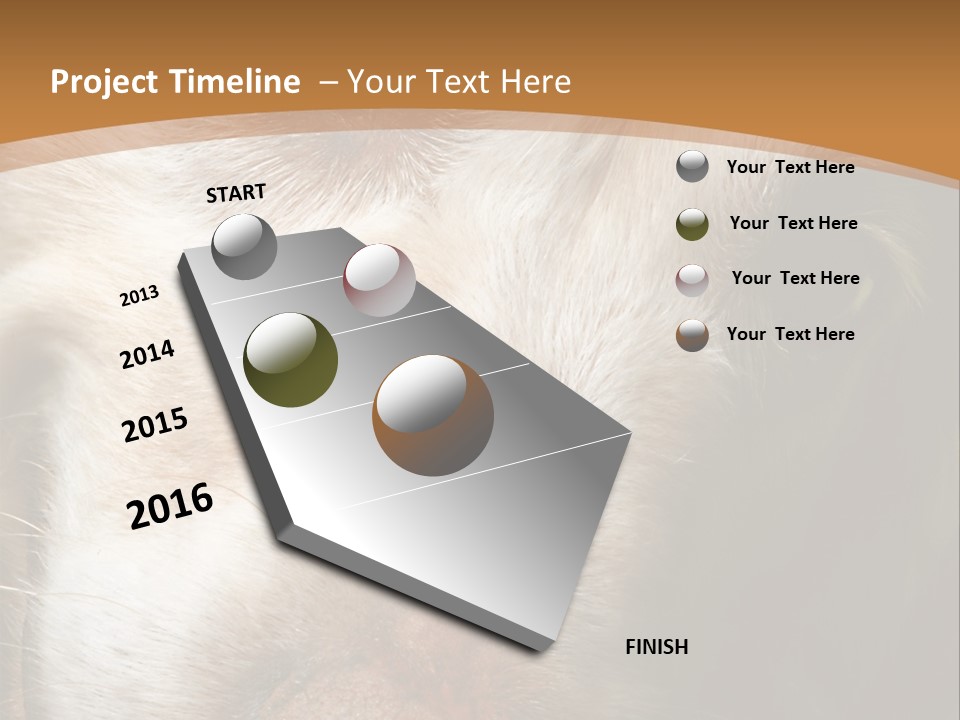 Smiling Dog, Gold Retriever Head Shot PowerPoint Template