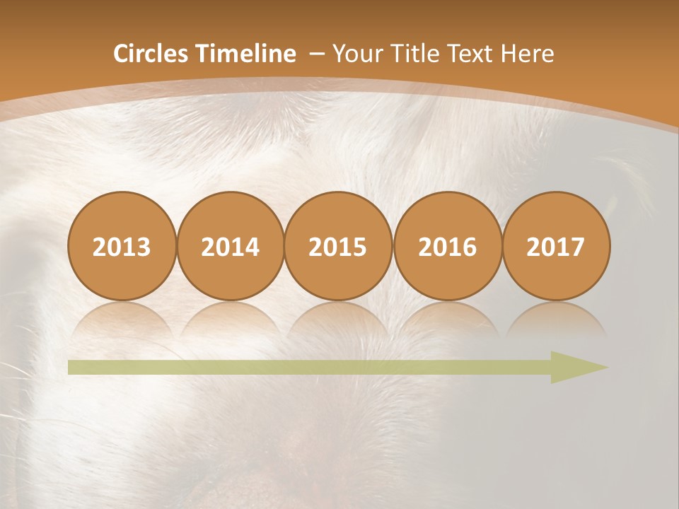 Smiling Dog, Gold Retriever Head Shot PowerPoint Template