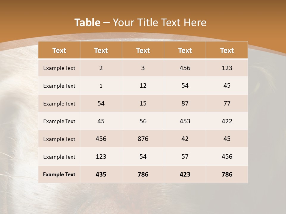 Smiling Dog, Gold Retriever Head Shot PowerPoint Template