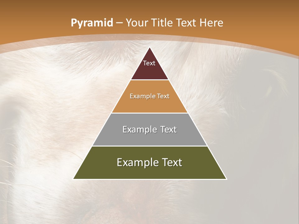 Smiling Dog, Gold Retriever Head Shot PowerPoint Template