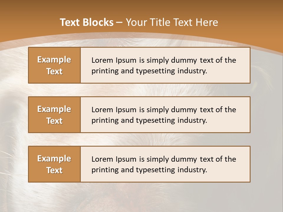 Smiling Dog, Gold Retriever Head Shot PowerPoint Template